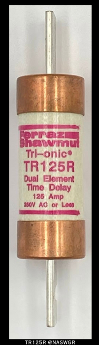 FERRAZ SHAWMUT TR125R Fuse - 125A/ 250V - Unused